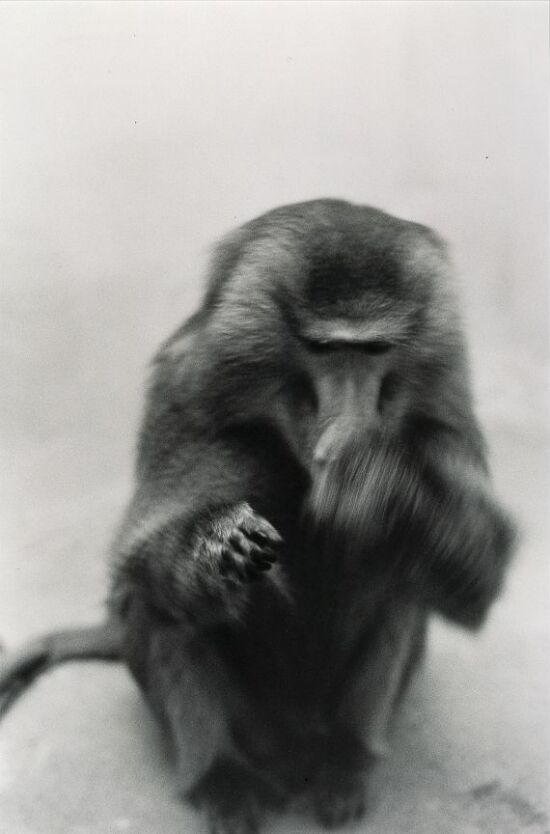 Maggie venstre hånd - høyre hånd?