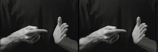 Twofold (Goats and sheep)