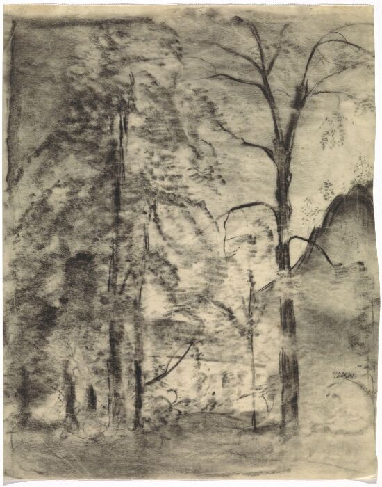 The Sun Breaking Through