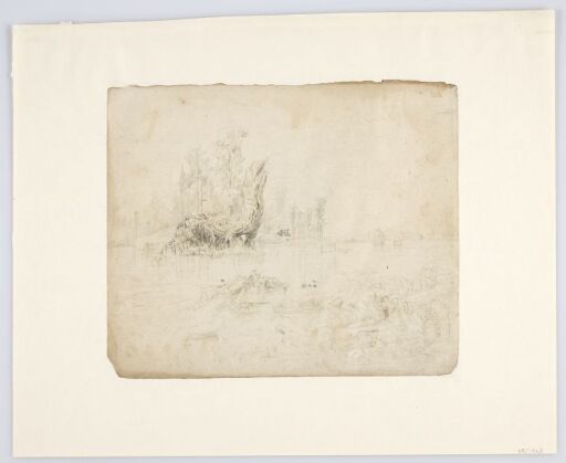 Landscape with Wooden Root