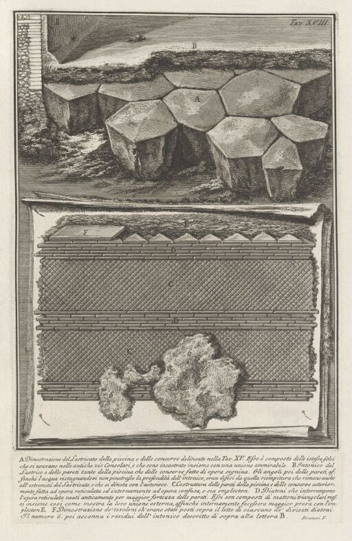 A. Illustration of the Paved Floor of the Pool and the Reservoirs as Illustrated in Plate XV