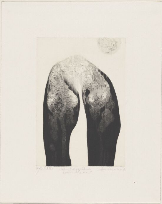 Under knapphetens kalde stjerne