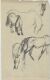 Horse Study
