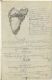 Anatomisk studie av skulderblad