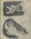 Study of Hands
