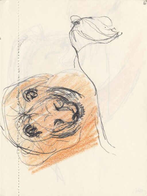 Sketchbook from Paris