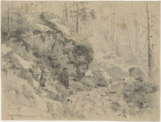 Mann i skogslandskap