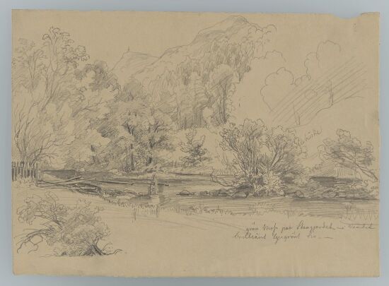 Skoglandskap med elv