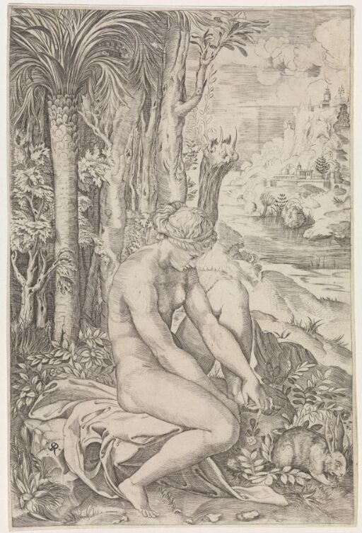 Venus Wounded by the Rose's Thorn