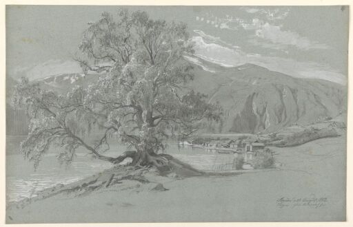 Slindebirken