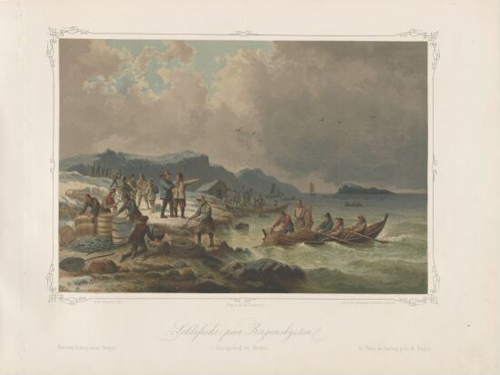 Sildefiske på Bergenskysten