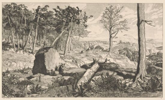 Simplicius in der Waldeninöde.