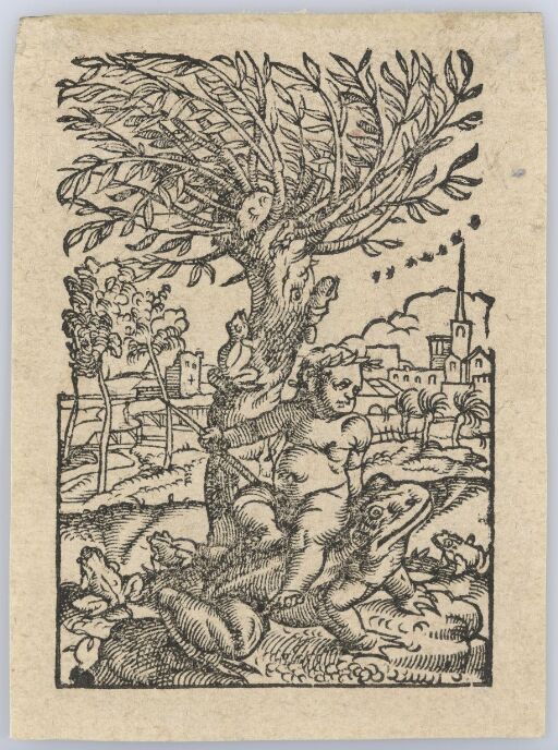 Guttebarn på en frosk