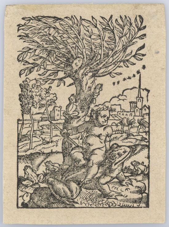 Guttebarn på en frosk