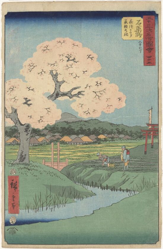 Ishiyakushi: Yoshitsune's Cherry Tree and the Shrine of Noriyori