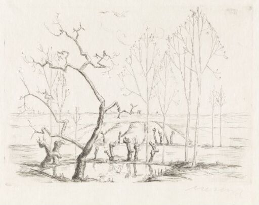 Landscape