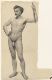Male Nude