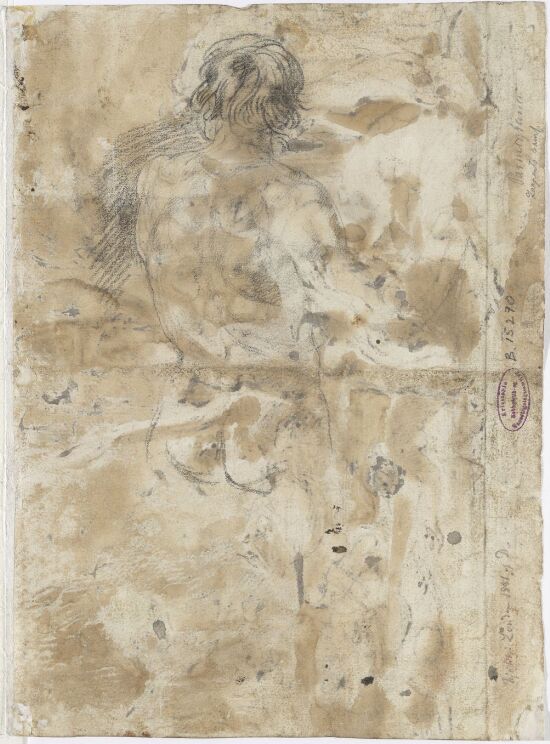 Torso of a Male Nude