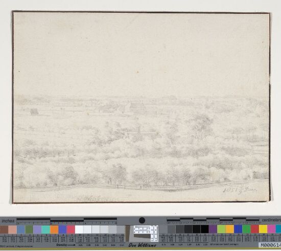 Elswout near Haarlem