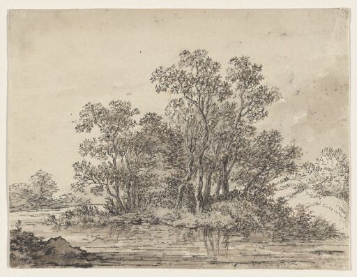 Landscape with Trees by a Beach