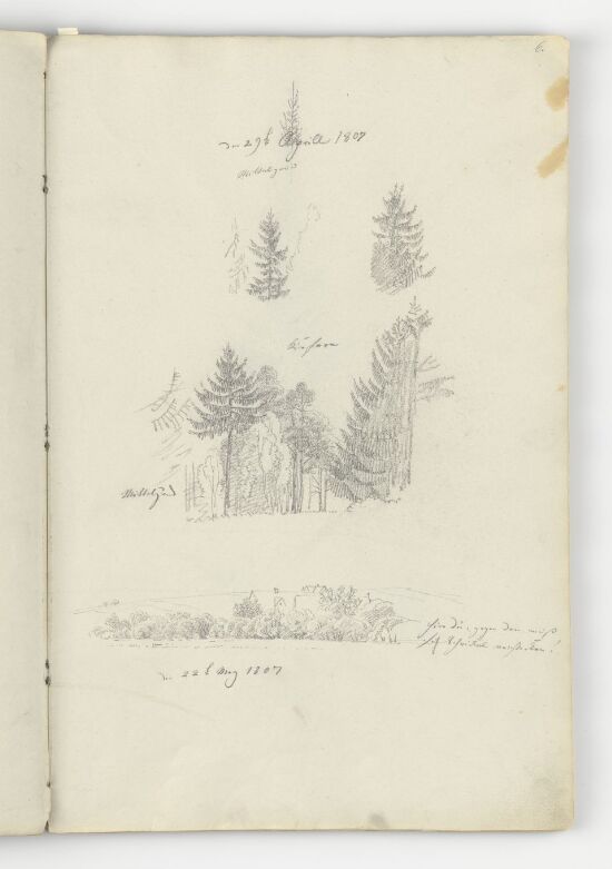 Studier av bar- og løvtrær; bondegård