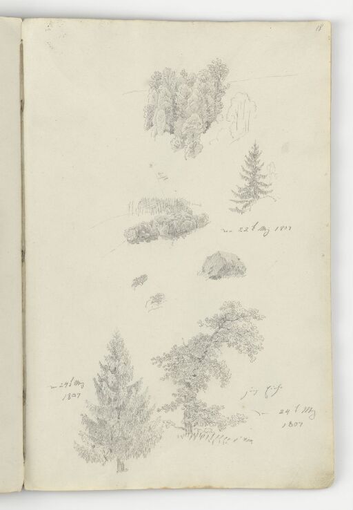 Landschafts- und Baumstudien
