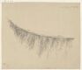 Study of a Spruce Branch