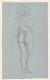Female Nude with Drapery