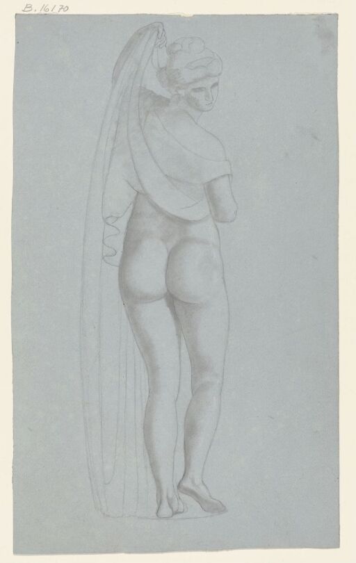 Female Nude with Drapery