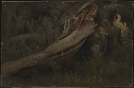Study of a decaying Trunk