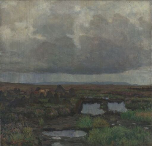 Peat Bog on Jæren