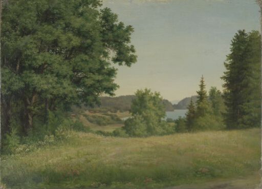 Landskapsstudie, Borrevannet