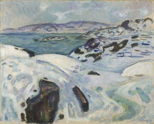 Winter on the Fjord