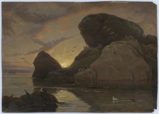 Coastal Landscape