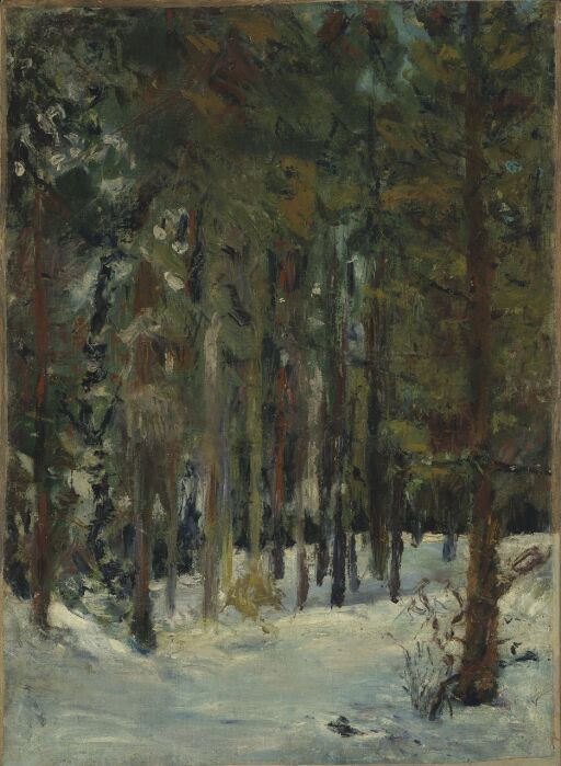 Wood in Winter