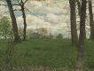 Green Fields