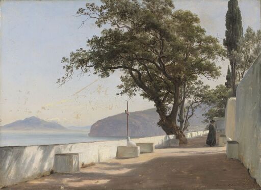 Terrace with Oak, Sorrento