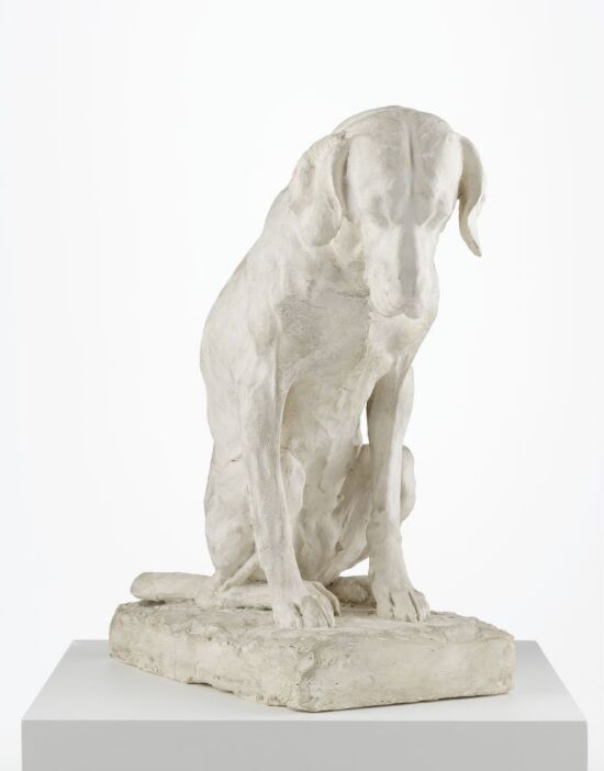 Seated Dog