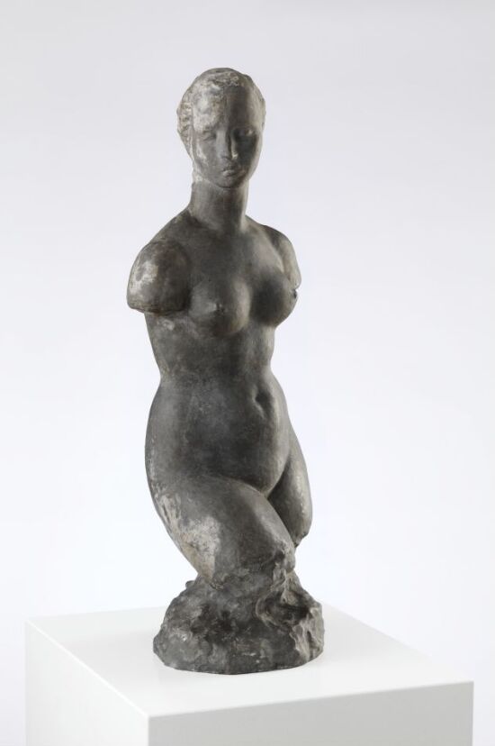 Small Female Torso
