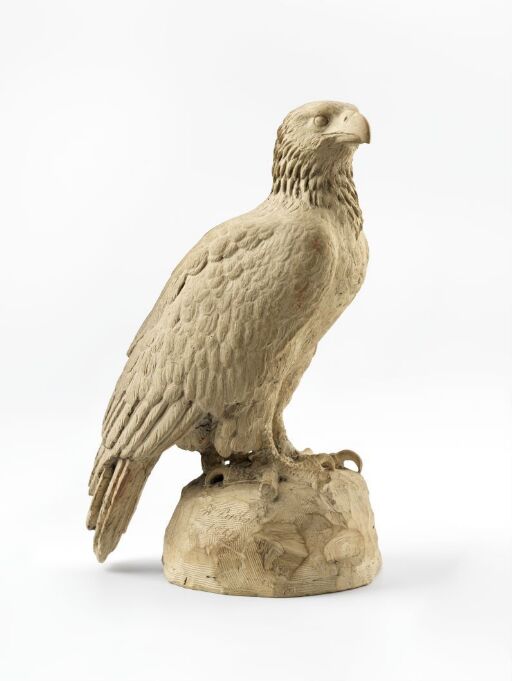 Falcon