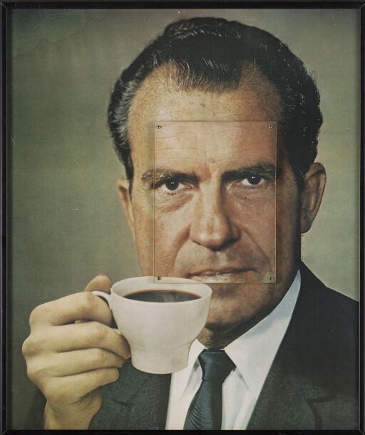 Nixon Visions