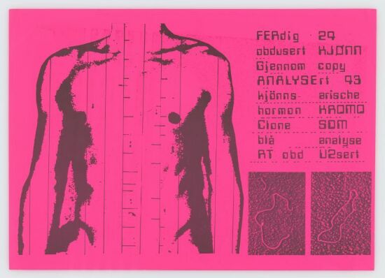 Kjøtt - 12'' (første utgave) Innlegg nr. 1