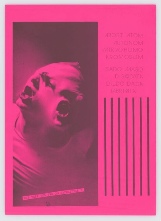 Kjøtt - 12'' (første utgave) Innlegg nr. 2