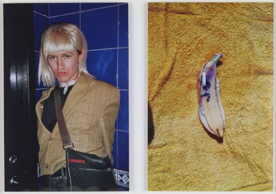 Blue Theodor and yellow banana