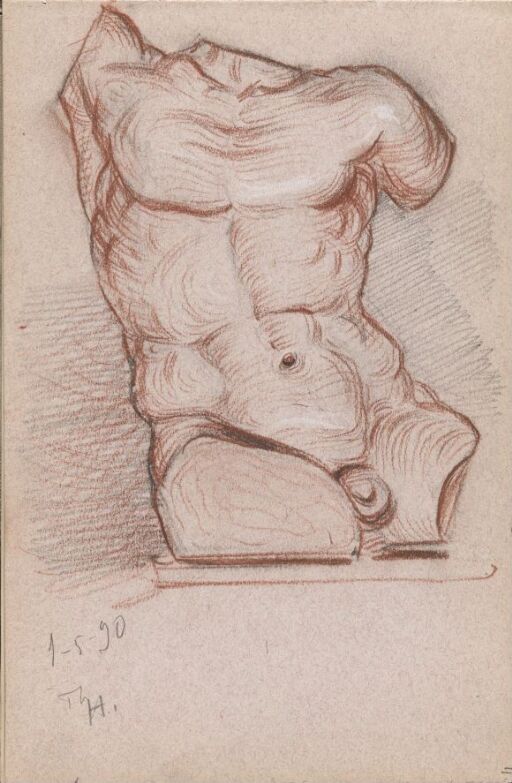 Torso