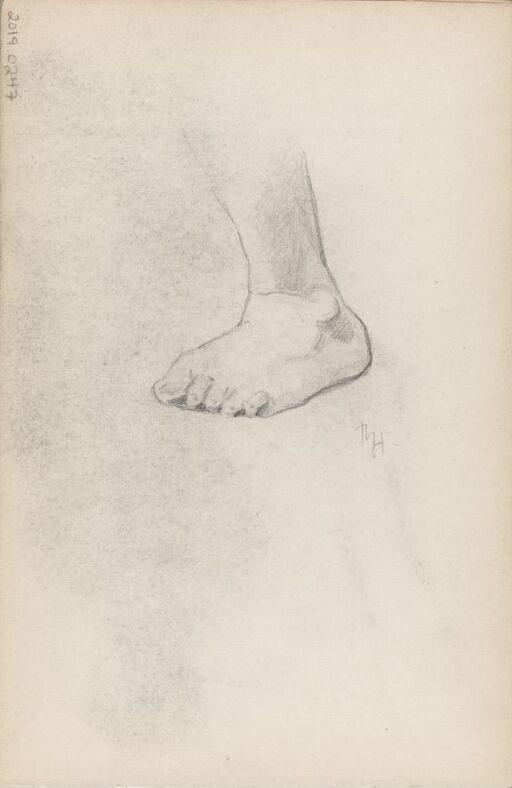 Study of Foot