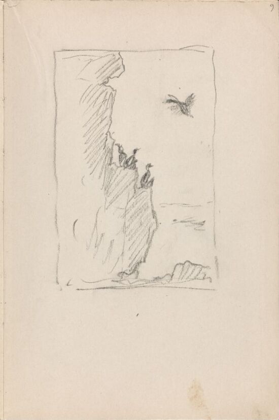 Sjøfugl på fjell. Utkast til bokside