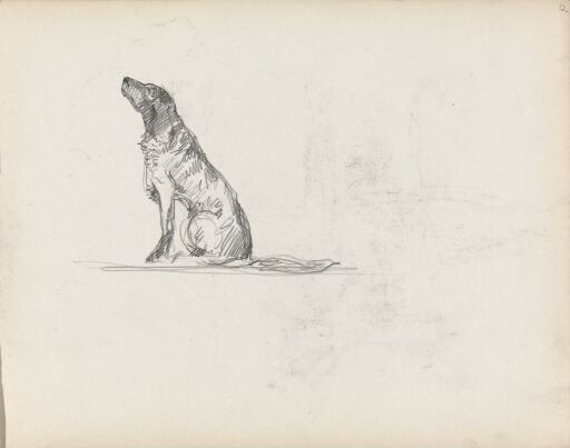Hund