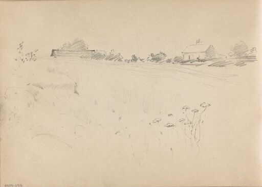 Landscape with Meadow