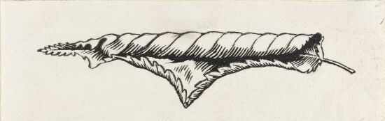 Øde, vignett. Til "Svartedauen", 1900